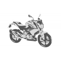 BMW G 310 R